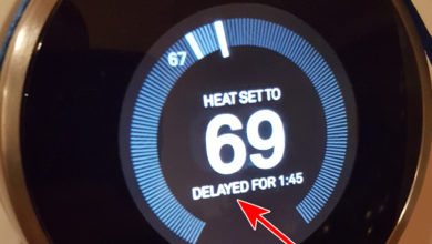 Nest Thermostat Delayed